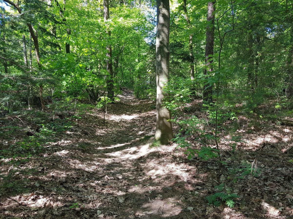 Knusse 5 Persoons Bungalow Hartje Veluwe Otterlo Bagian luar foto