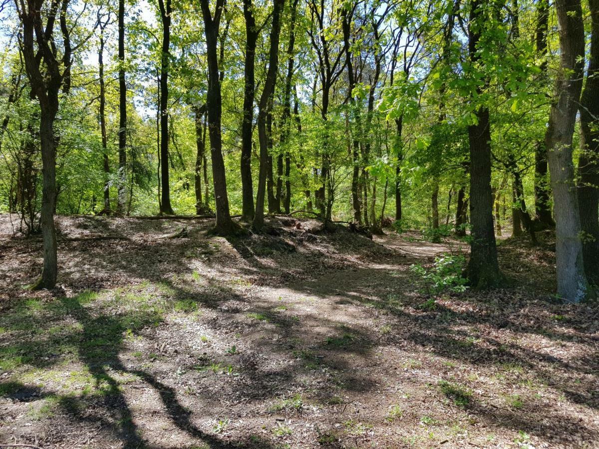 Knusse 5 Persoons Bungalow Hartje Veluwe Otterlo Bagian luar foto