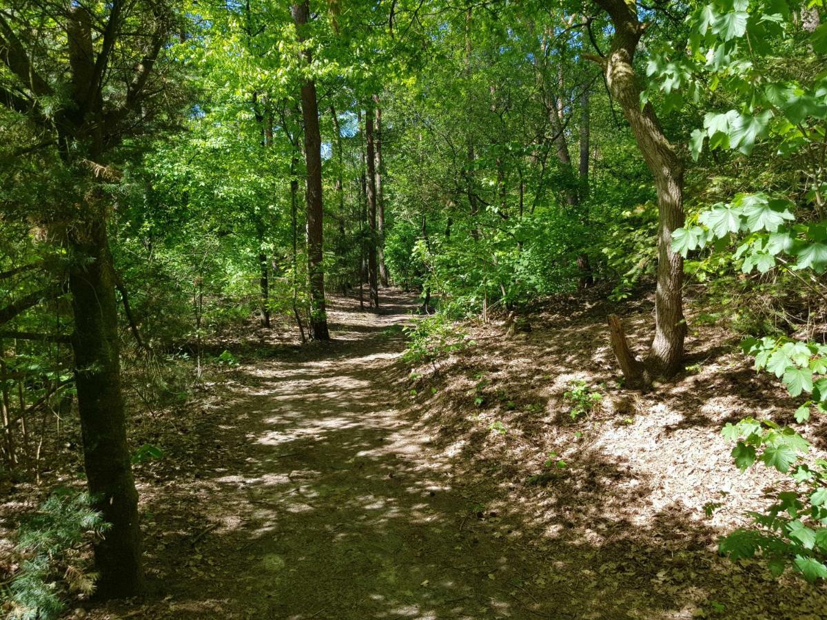 Knusse 5 Persoons Bungalow Hartje Veluwe Otterlo Bagian luar foto