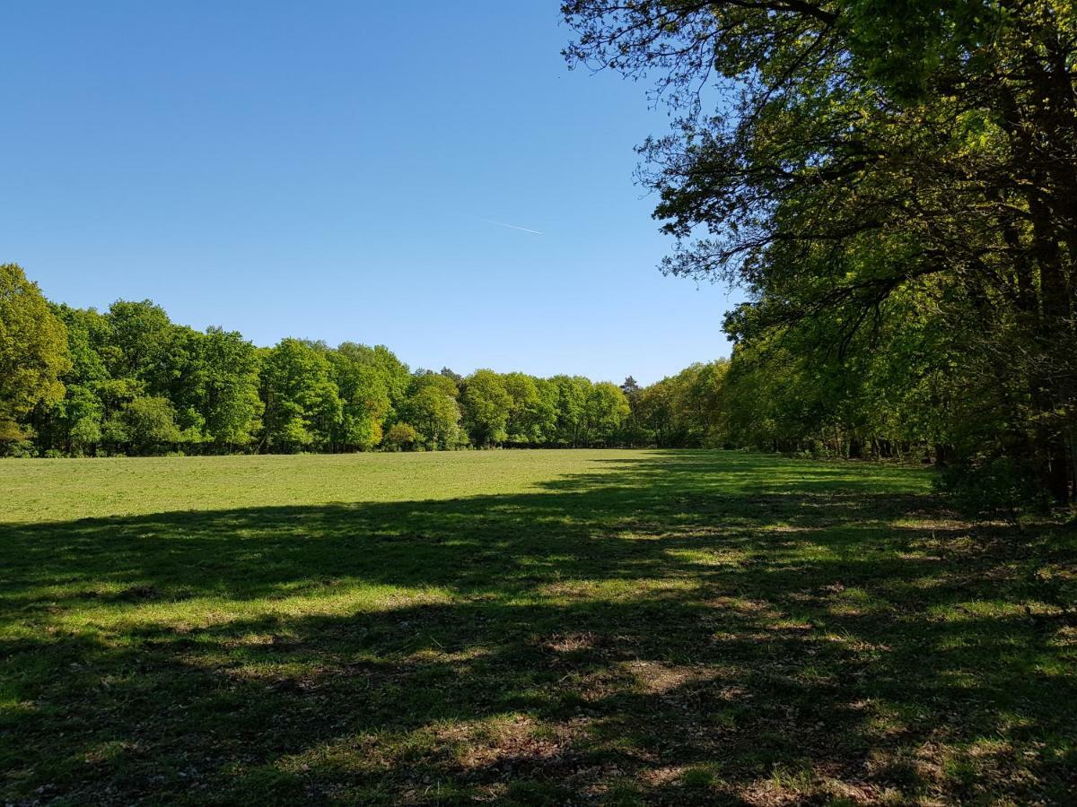 Knusse 5 Persoons Bungalow Hartje Veluwe Otterlo Bagian luar foto